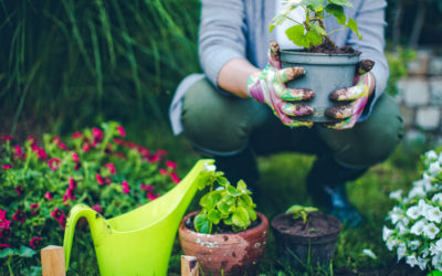 Rare Books, Container Gardening and More!