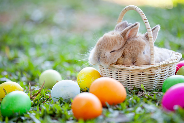 April 19 through Sunday April 21 the Library is closed in observance of  Easter and Passover